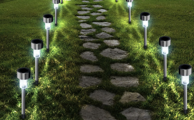 Blitzwill 24 Pack LED Solar Pathway Lights on the Lawn