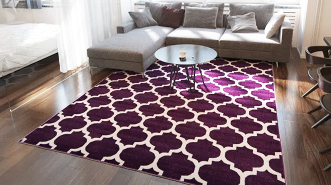 Cara Leigh Rug Cara Leigh Rug