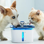 Cat and Dog Drinking in Ophanie Automatic Pet Water Fountain