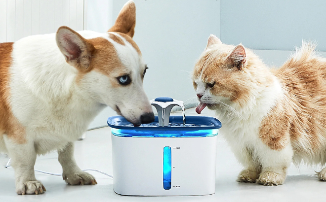 Cat and Dog Drinking in Ophanie Automatic Pet Water Fountain
