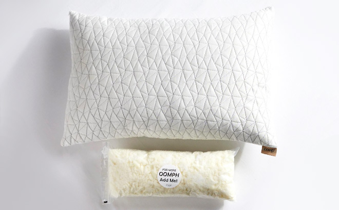Coop Sleep Goods Queen Pillow and Coolside Cover Coop Sleep Goods Queen Pillow and Coolside Cover