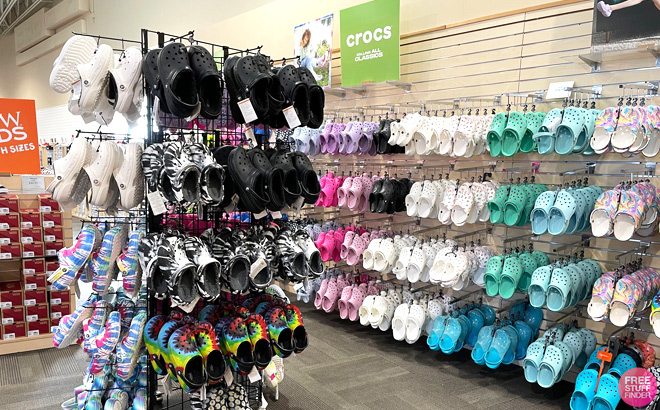 Crocs Overview