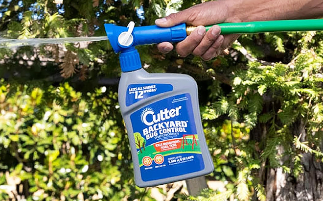 Cutter Backyard Bug Control Spray Concentrate Mosquito Repellent