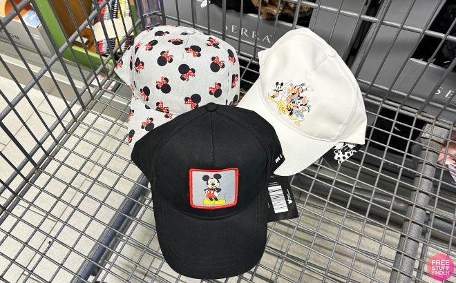 Disney Baseball Hat or Bucket Hat on a Cart