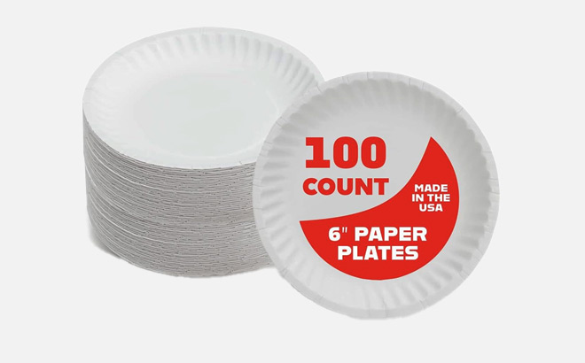 Disposable Paper Plates 100 Pack