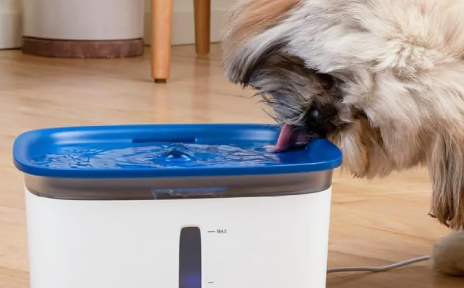 Dog Drinking From Ophanie Automatic Pet Water Fountain