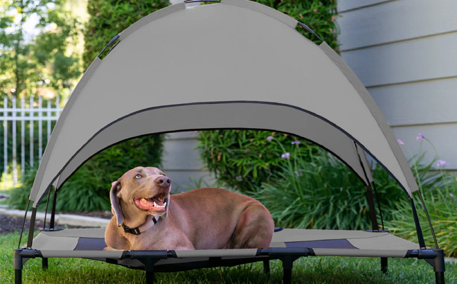Elevated Cooling Dog Bed Grey