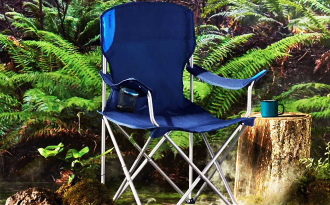 Embark Outdoor Portable Folding Quad Chair
