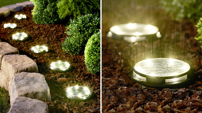 Energizer Solar Lights Energizer Solar Lights