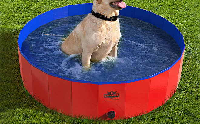 Foldable Pet Pool Foldable Pet Pool