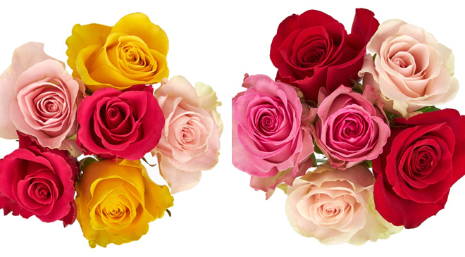 Fresh Cut 6 Stem Roses Flowers