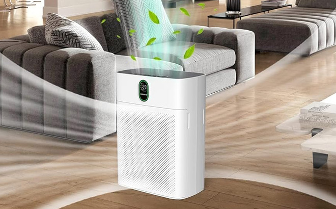 HEPA Air Purifier 1