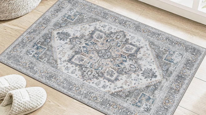 Kueth 2x3 Washable Area Rug 1