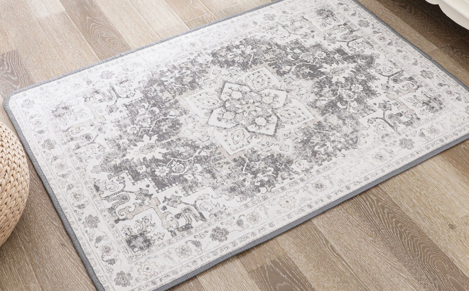 Kueth 2x3 Washable Area Rug