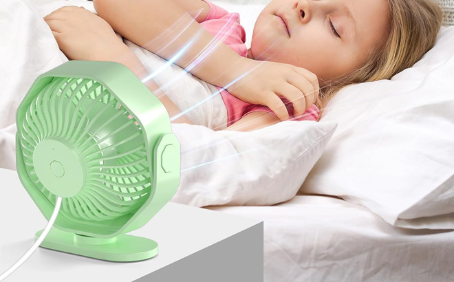 Lerat USB Green Desk Fan