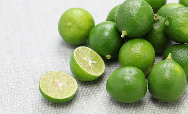 Lime Regular Conventional