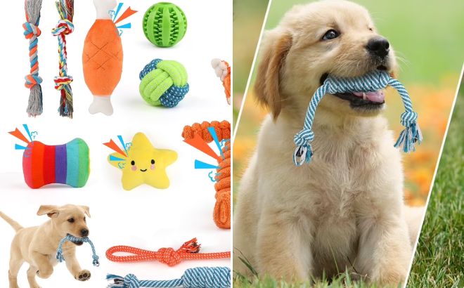 MASBRILL Dog Toys 10 Pack