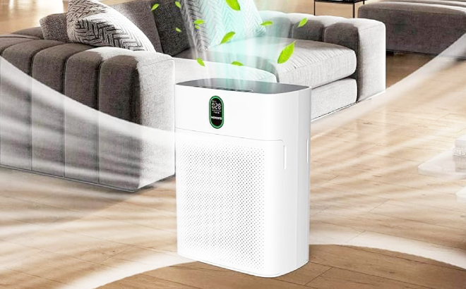 Morento Air Purifier in Living Room