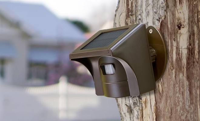 Motion Sensor Driveway Alarm