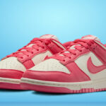 Nike Dunk Low Next Nature Sneakers