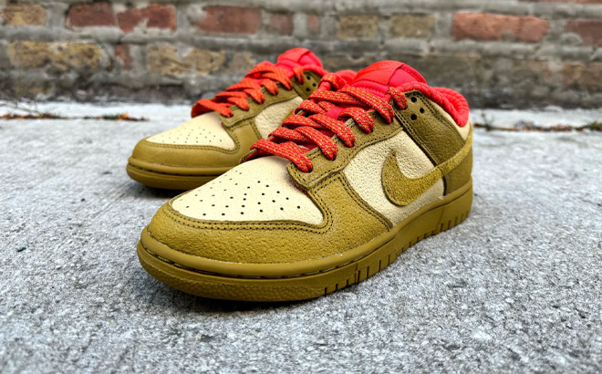 Nike Dunk Low Sneakers