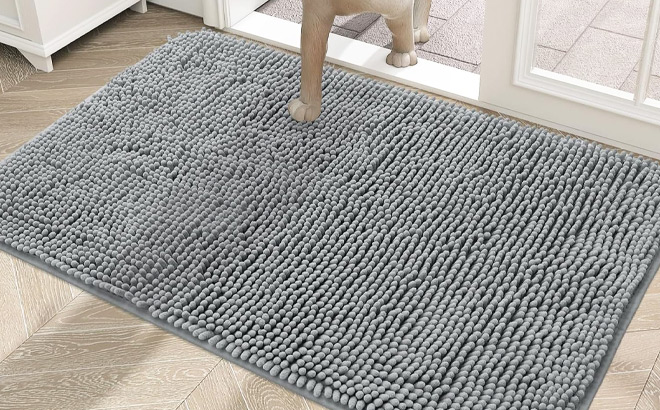 Olanly Dog Door Mat for Muddy Paws