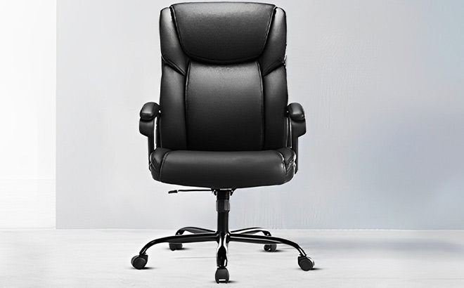 Olixis Adjustable Leather Chair