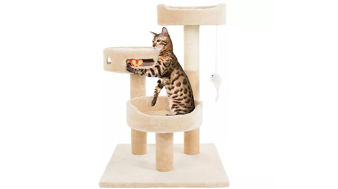 Petsmart 3 Tier 27 5 Cat Tree Petsmart 3 Tier 27 5 Cat Tree
