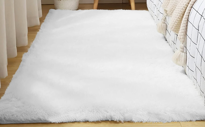 Rug Branch Super Soft Plain Plush Area Rug Rug Branch Super Soft Plain Plush Area Rug