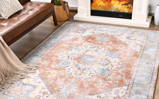 ST BRIDGE Soft Area Rug 4x6 Washable Vintage Rug for Bedroom Living Room
