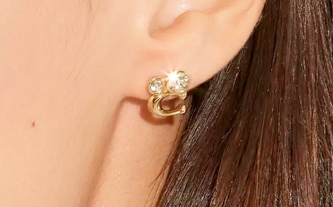 Signature Crystal Cluster Stud Earrings Signature Crystal Cluster Stud Earrings