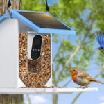 Solar Powered Smart Bird Feeder with a Camera on a Tree