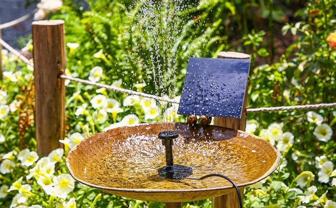 Solar Water Fountain Pump