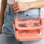 Steve Madden Orchid Clear Crossbody Bag in Coral Color