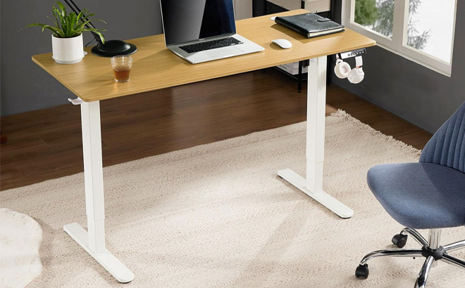 Sweetcrispy Electric Adjustable Height Standing Desk