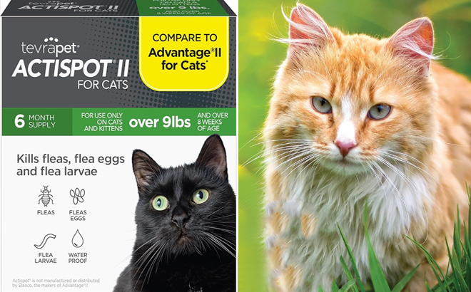 TevraPet Actispot II Flea Treatment for Large Cats