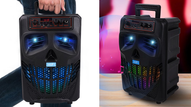 TopVision Karaoke Machine with Microphone