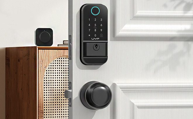 UYF WiFi Smart Door Lock Set