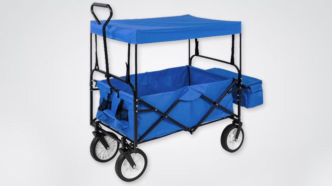 Utility Wagon Cart with Folding Design