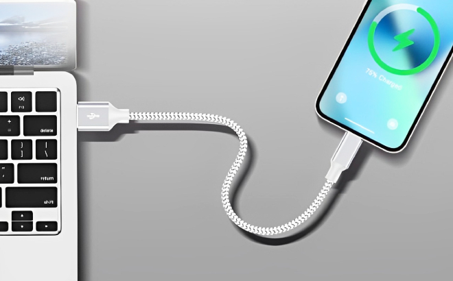 iPhone USB A to Lightning Charger Cable