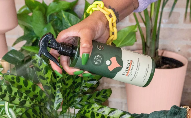 A Person Holding We The Wild Protect Spray A Person Holding We The Wild Protect Spray