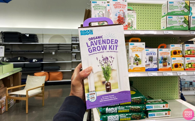 A Person Holding a Back to the Roots Organic Lavender Grow Kit
