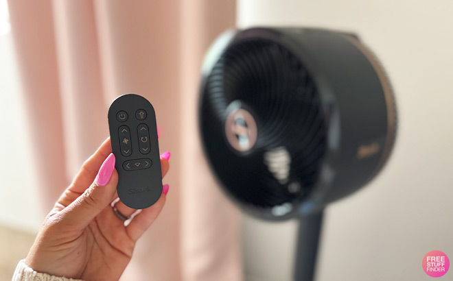 A Person Holding a Fan Remote