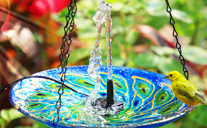 AISITIN Solar Water Pump Kit AISITIN Solar Water Pump Kit