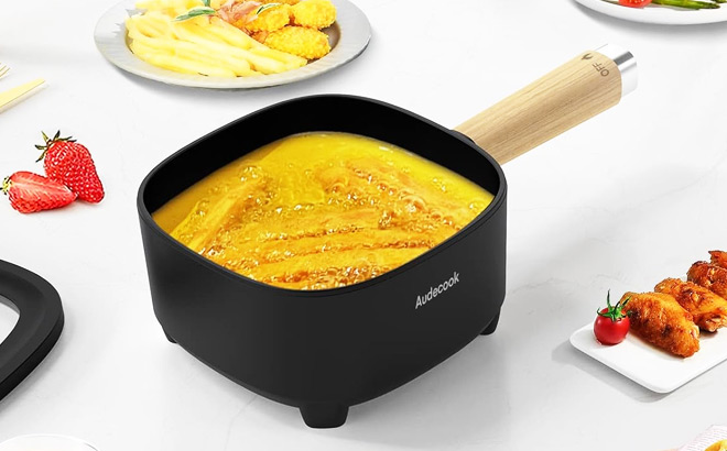 Audecook Hot Pot Electric with Steamer