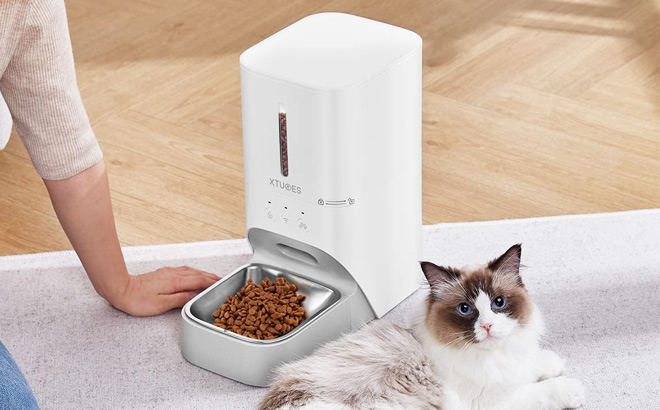 Automatic Pet Feeder