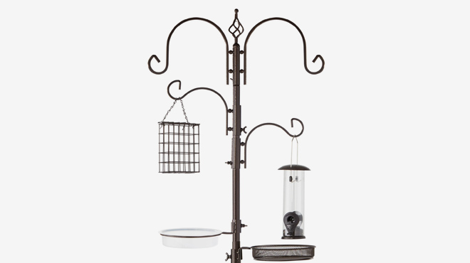 Bird Feeding Station