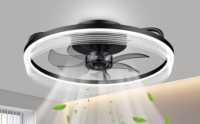 Ceiling Fan with Light