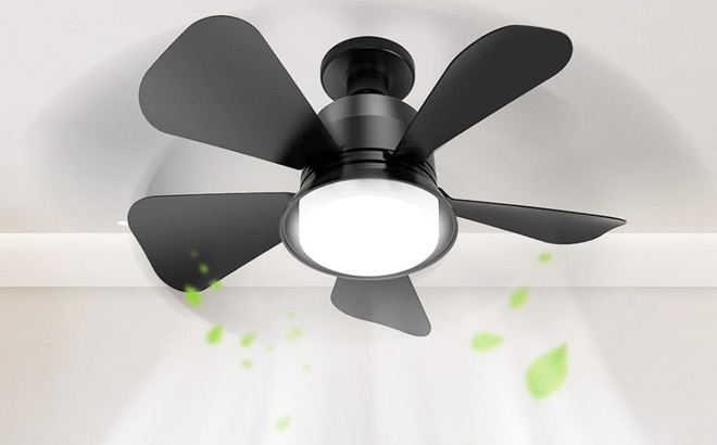 Ceiling Fan with Lights Ceiling Fan with Lights