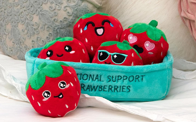 Emotional Support Strawberries